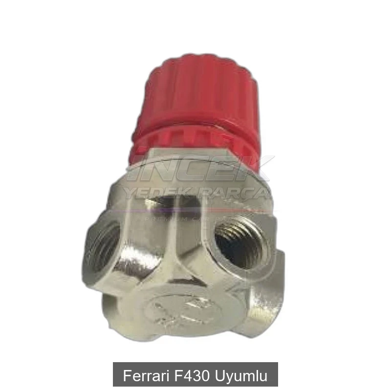 Ferrari F430 E-DIFF Regülatör Valf 205742